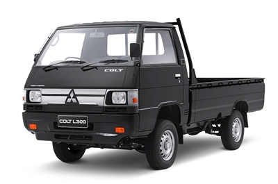 L300